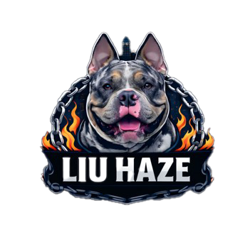 Liu Haze
